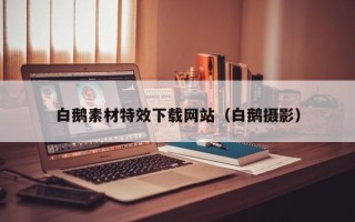 靖边白鹅素材特效下载网站（白鹅摄影）